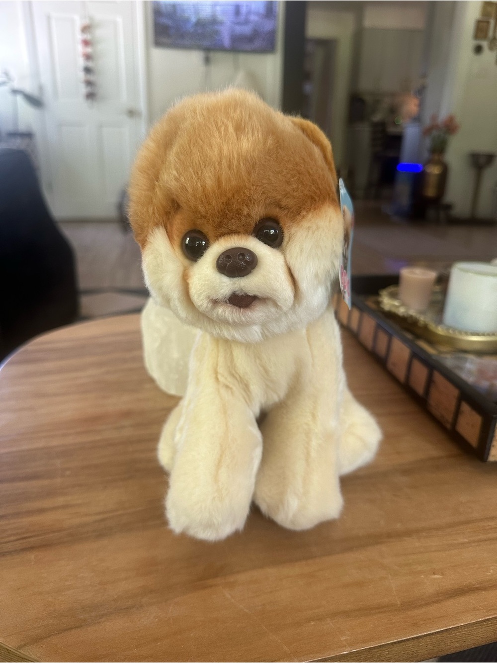 Gund Boo Worlds cutest dog Tan and Cream Plush Dog Toy tags on